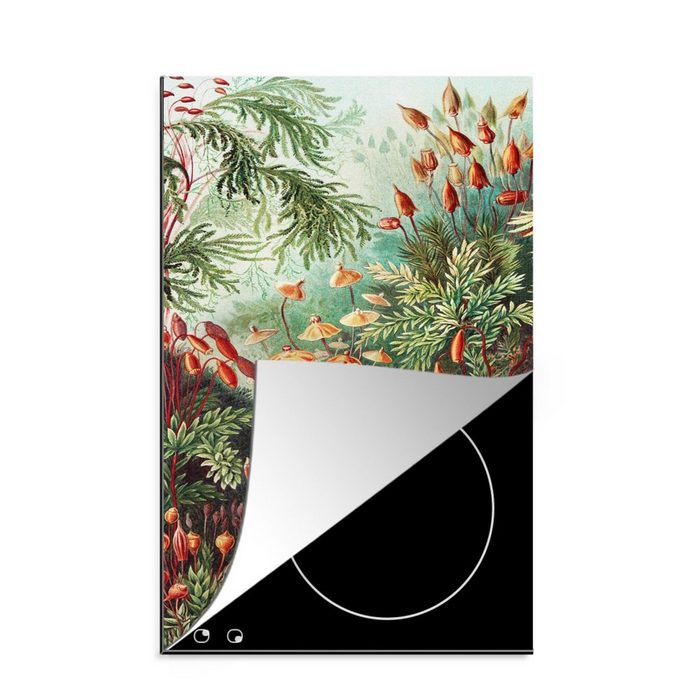 MuchoWow Herdblende-/Abdeckplatte Blumen - Kunst - Vintage - Natur - Botanisch Vinyl (1 tlg) Küchen Dekoration für Induktionsherd Induktionskochfeld