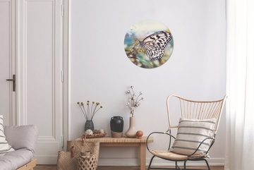 MuchoWow Gemälde Schmetterling - Blumen - Frühling, (1 St), Kreis Wanddekoration Forex, Rundes Wandbild, Wohnzimmer, 30x30 cm