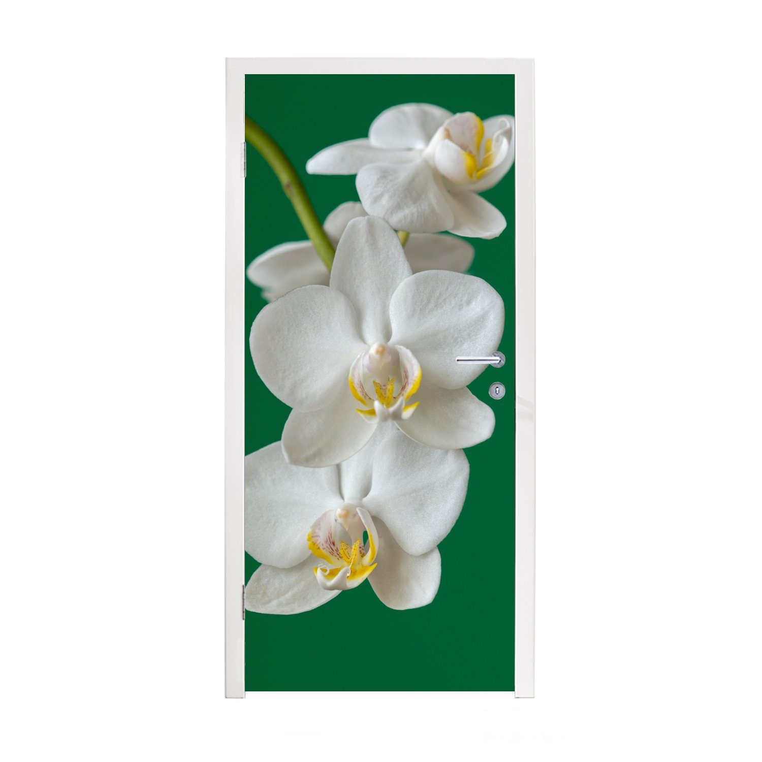 MuchoWow Türtapete Orchidee mit grünem Hintergrund, Matt, bedruckt, (1 St), Fototapete für Tür, Türaufkleber, 75x205 cm