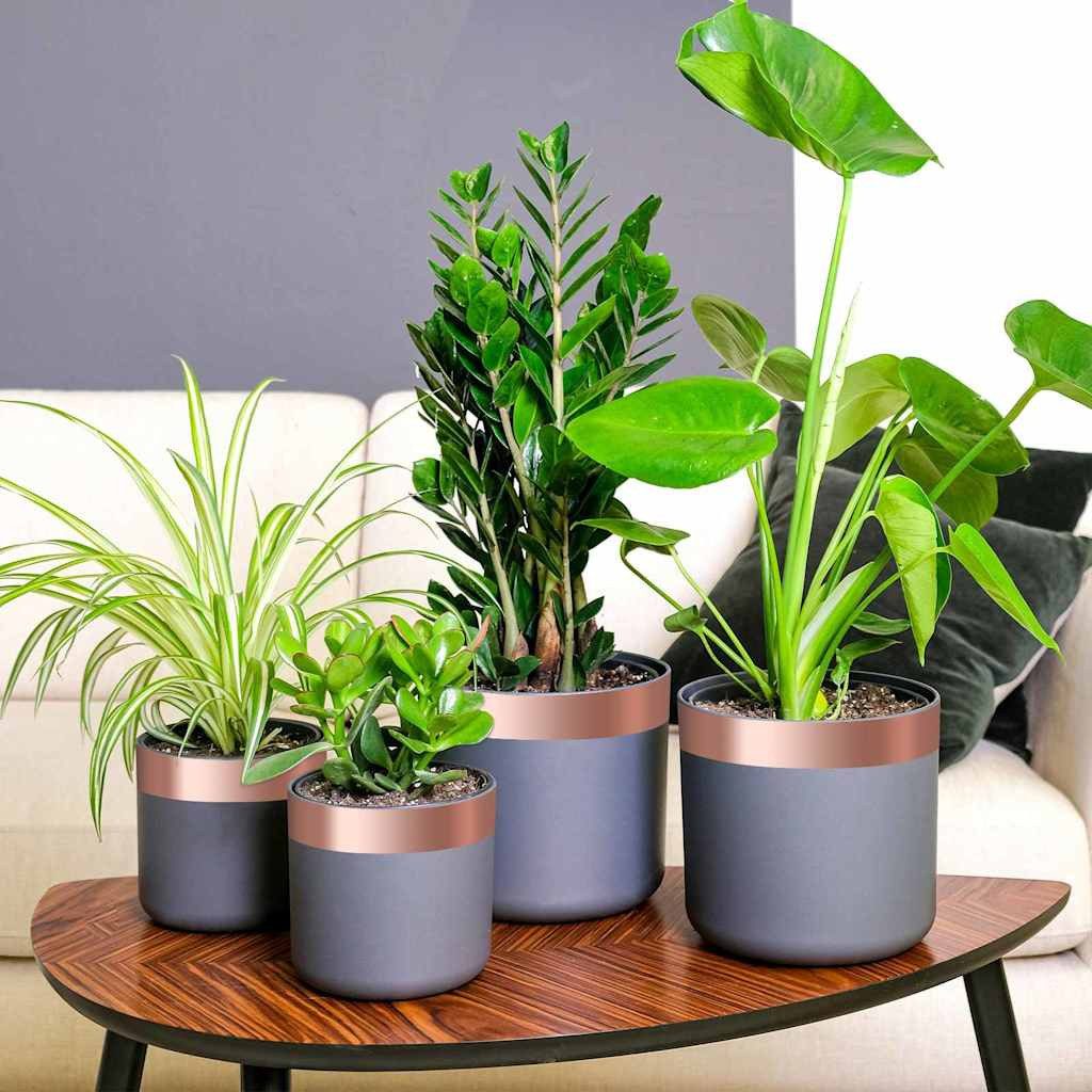 vidaXL Kupferband, Kupferband 6 pcs Kupfer 2000 x 5 cm Kupfer