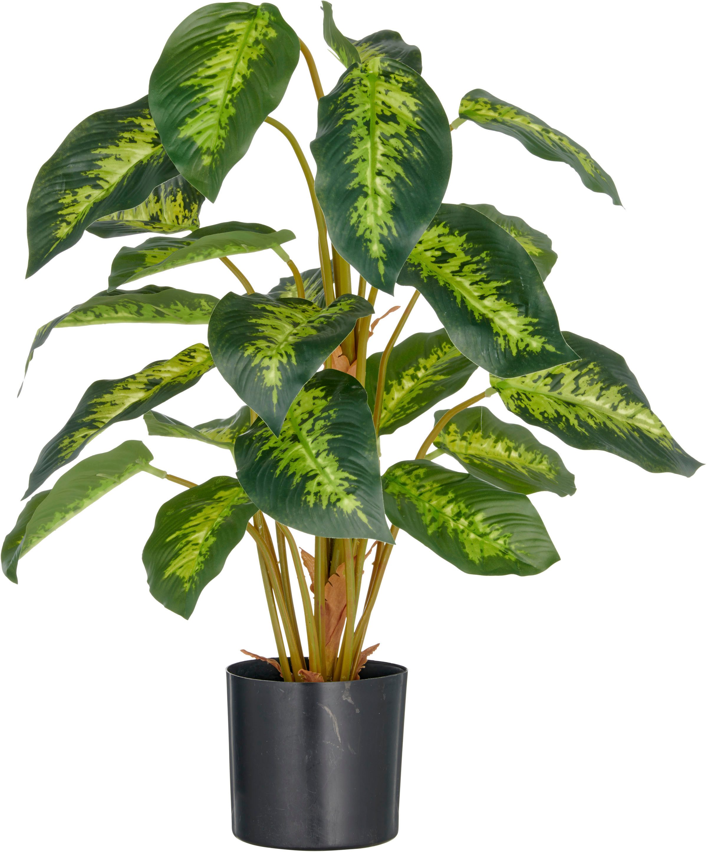 Kunstpflanze Dieffenbachia reeva, Creativ green, Höhe günstig online kaufen
