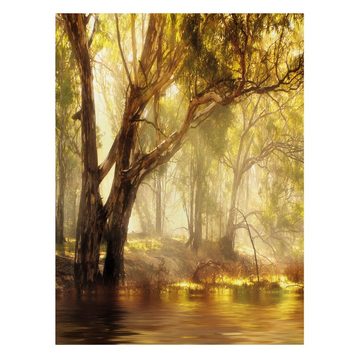 Bilderdepot24 Leinwandbild Wald Natur Modern Natur Baum Fluss Nebel grün Bild auf Leinwand XXL, Bild auf Leinwand; Leinwanddruck in vielen Größen