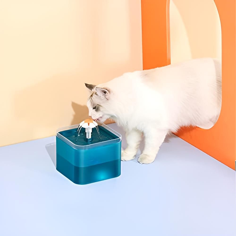 Diyarts Trinkbrunnen 2 l, Katzen Wasserspender, günstig online kaufen