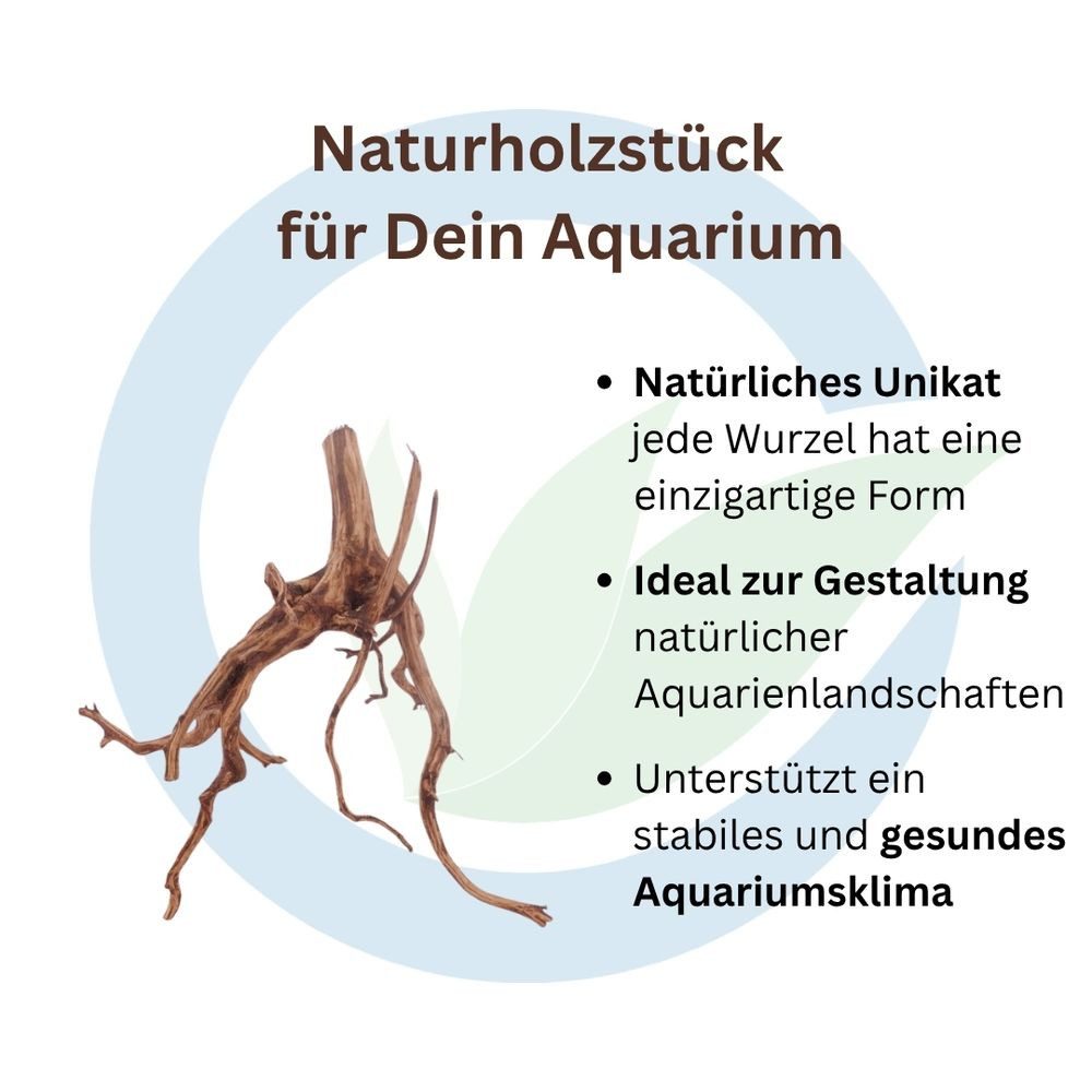 Aquaone Aquarium Red Spider Wurzel L 30-40 cm