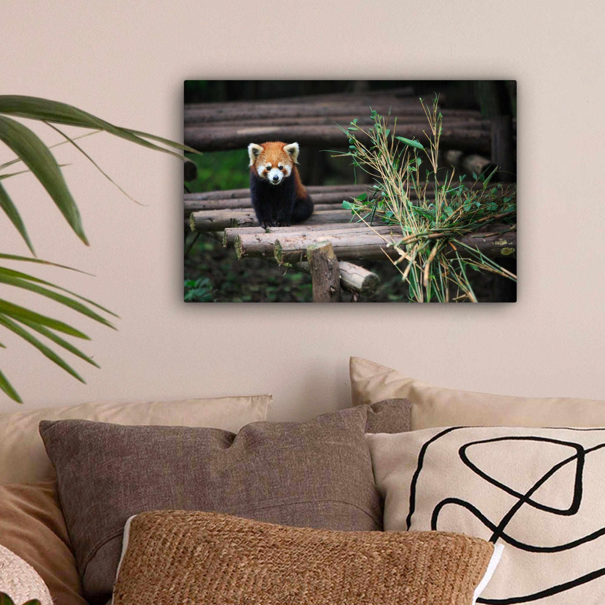 cm Aufhängefertig, OneMillionCanvasses® Roter Wanddeko, 30x20 - Leinwandbilder, St), (1 Leinwandbild Wandbild Bambus Baumstämme, Panda -