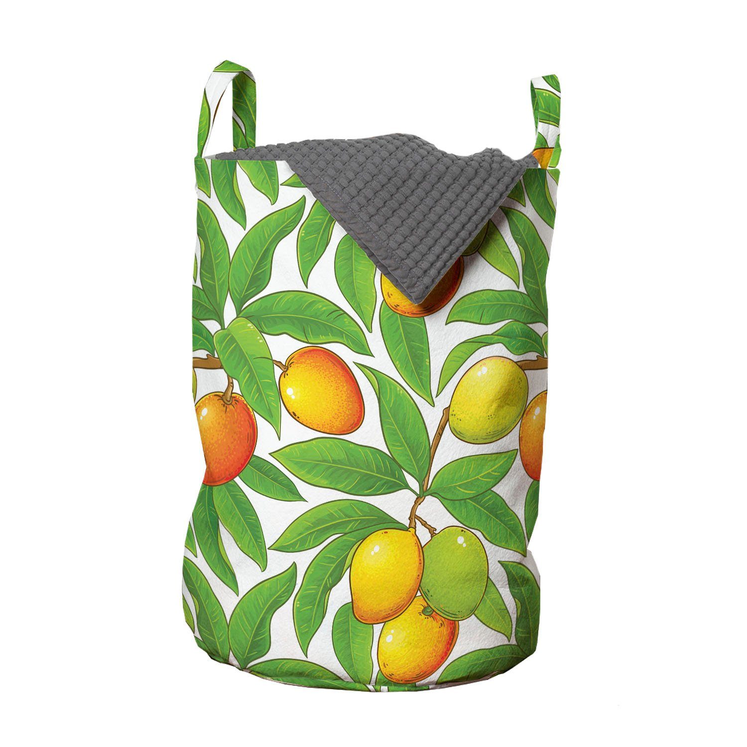 Mango Griffen Obst Abakuhaus Wäschesäckchen Reife Branchen Waschsalons, Wäschekorb Kordelzugverschluss mit für