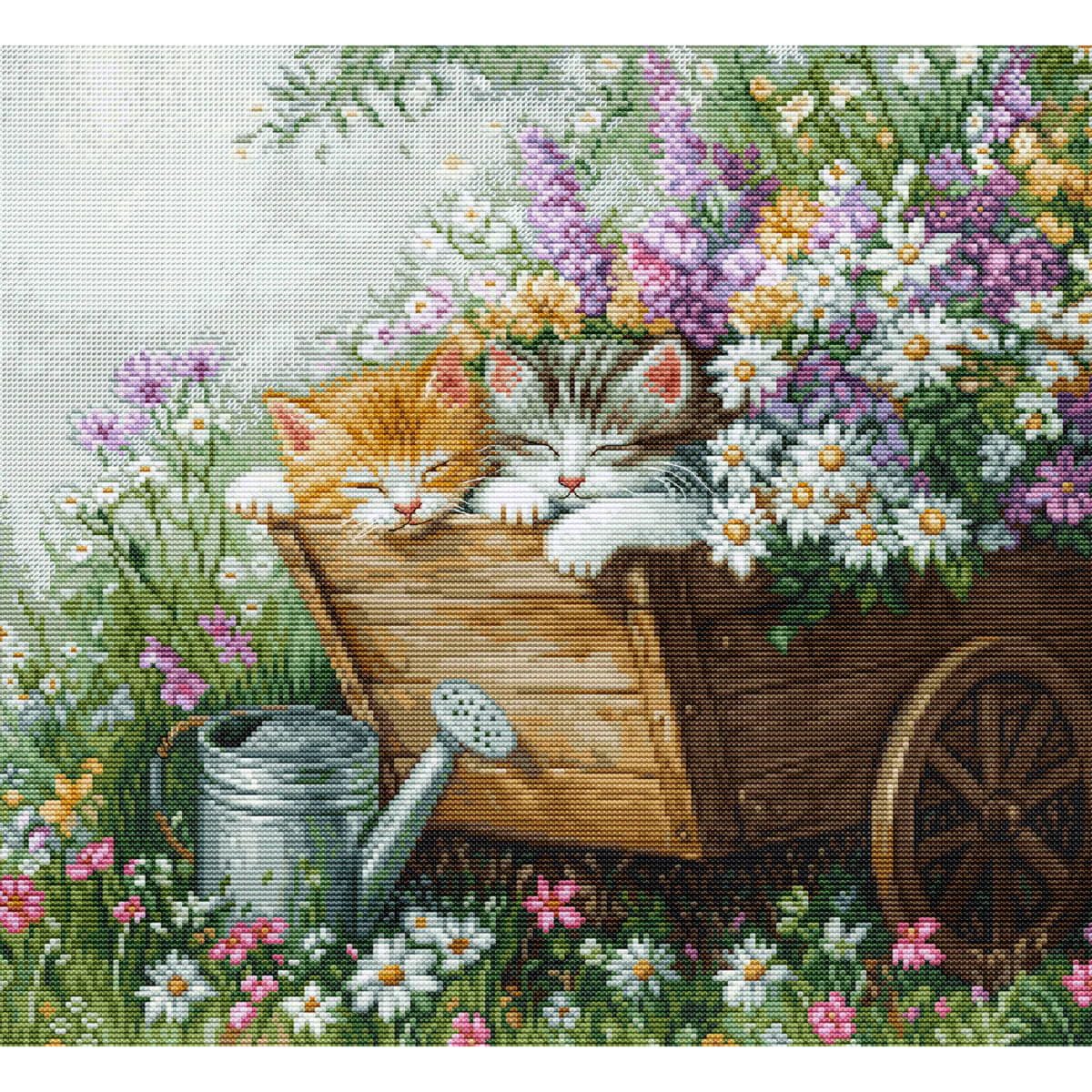 Luca-S Kreativset Luca-S kit punto croce contato "Gattini che dormono", 33x30cm, (embroidery kit by Marussia)