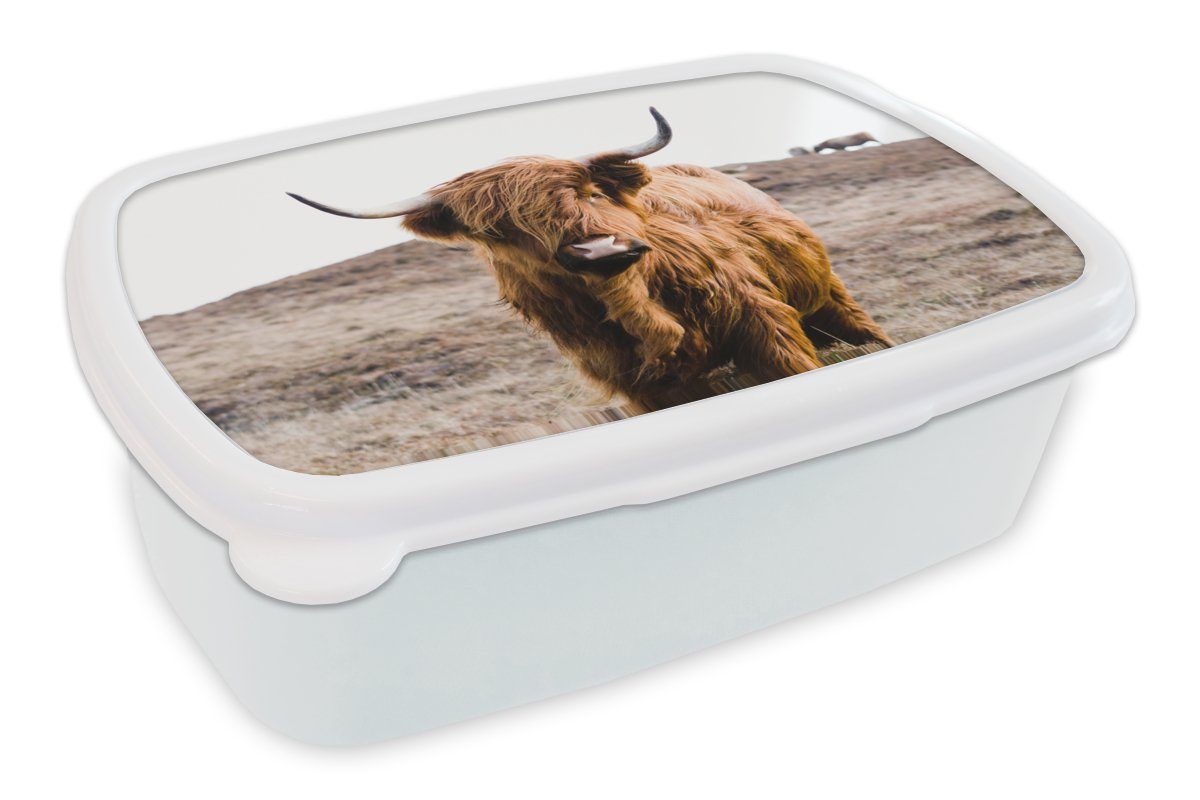 MuchoWow Lunchbox Schottische Highlander - Landschaft - Kuh - Braun - Tiere - Natur, Kunststoff, (2-tlg), Brotbox für Kinder und Erwachsene, Brotdose, für Jungs und Mädchen weiß