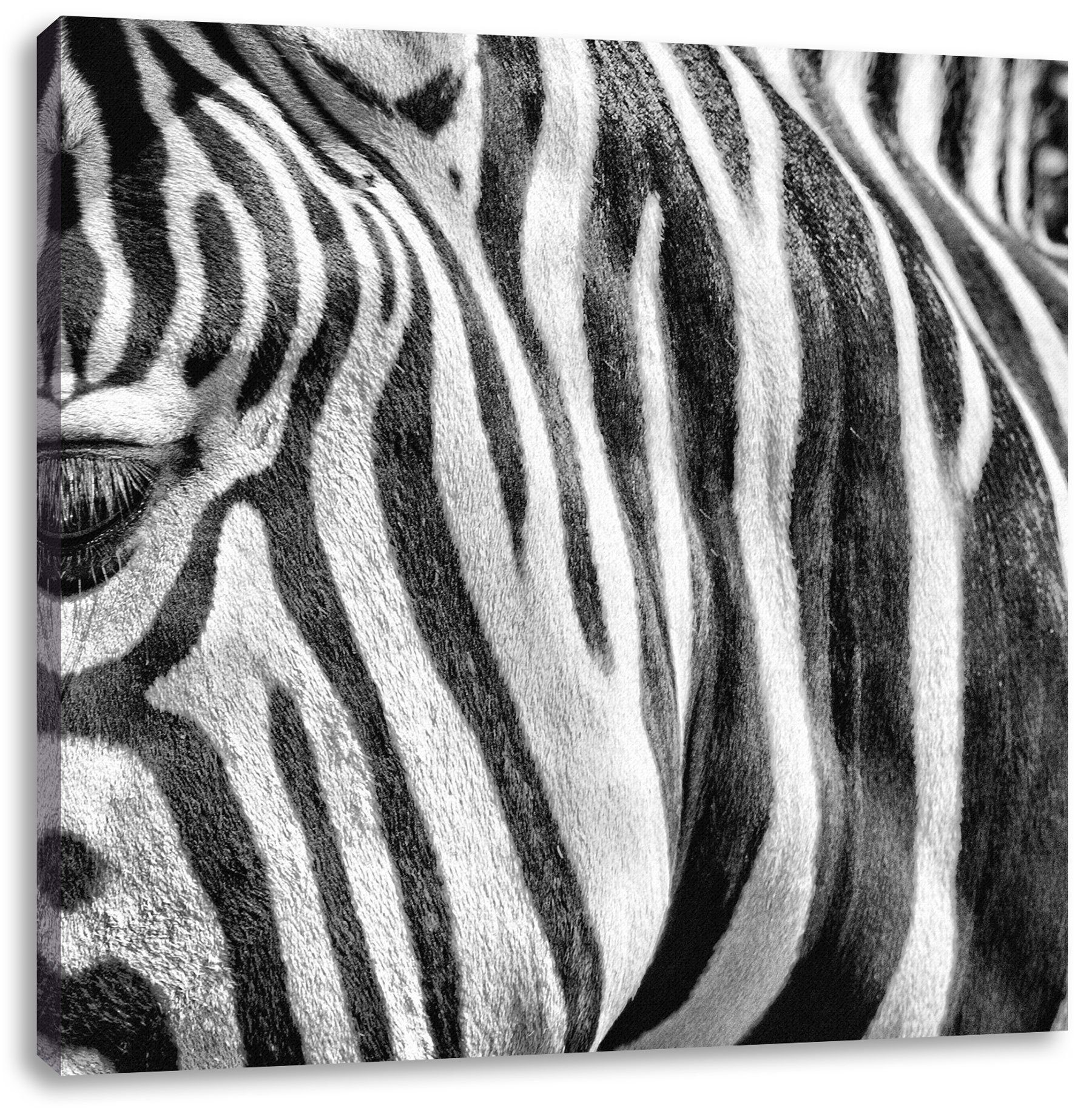 Pixxprint Leinwandbild Zebra Porträt, fertig bespannt, (1 Porträt Zebra St), Zackenaufhänger Leinwandbild inkl