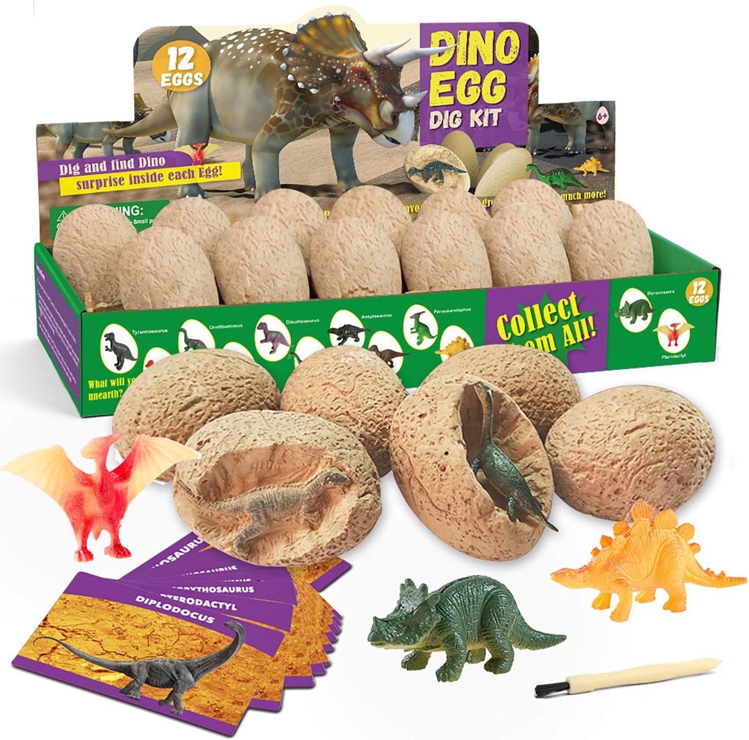 ZEUOPQ Experimentierkasten Dino-Fossil-Find Ausgrabungs-Set Dinosaurier-Spi günstig online kaufen