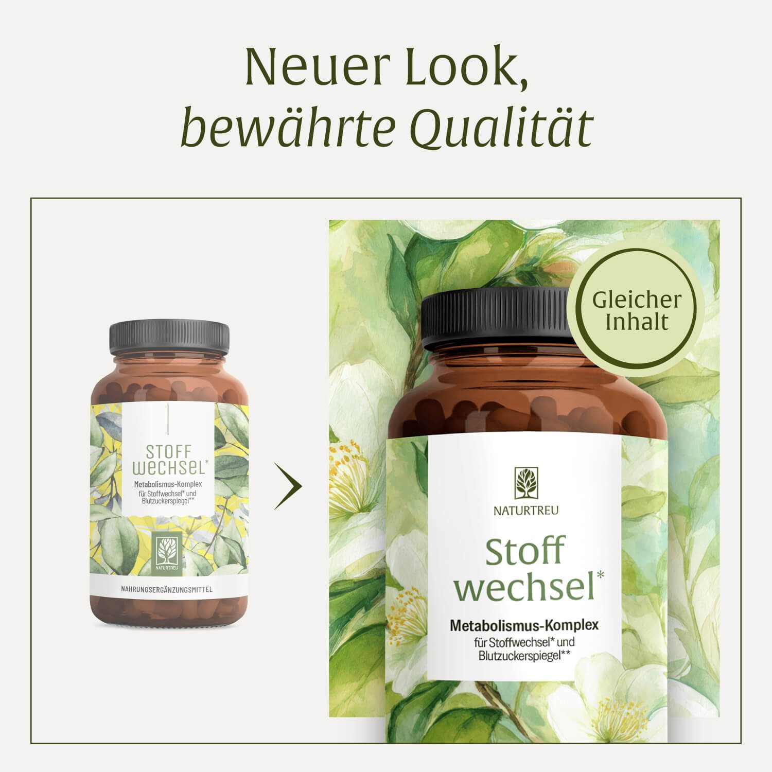 Naturtreu STOFFWECHSEL Kapseln, 120 er 120 St., 65 g, Durchdachte Entwicklung, Vegan, Laborgeprüft, Hochwertige Inhaltstoffe
