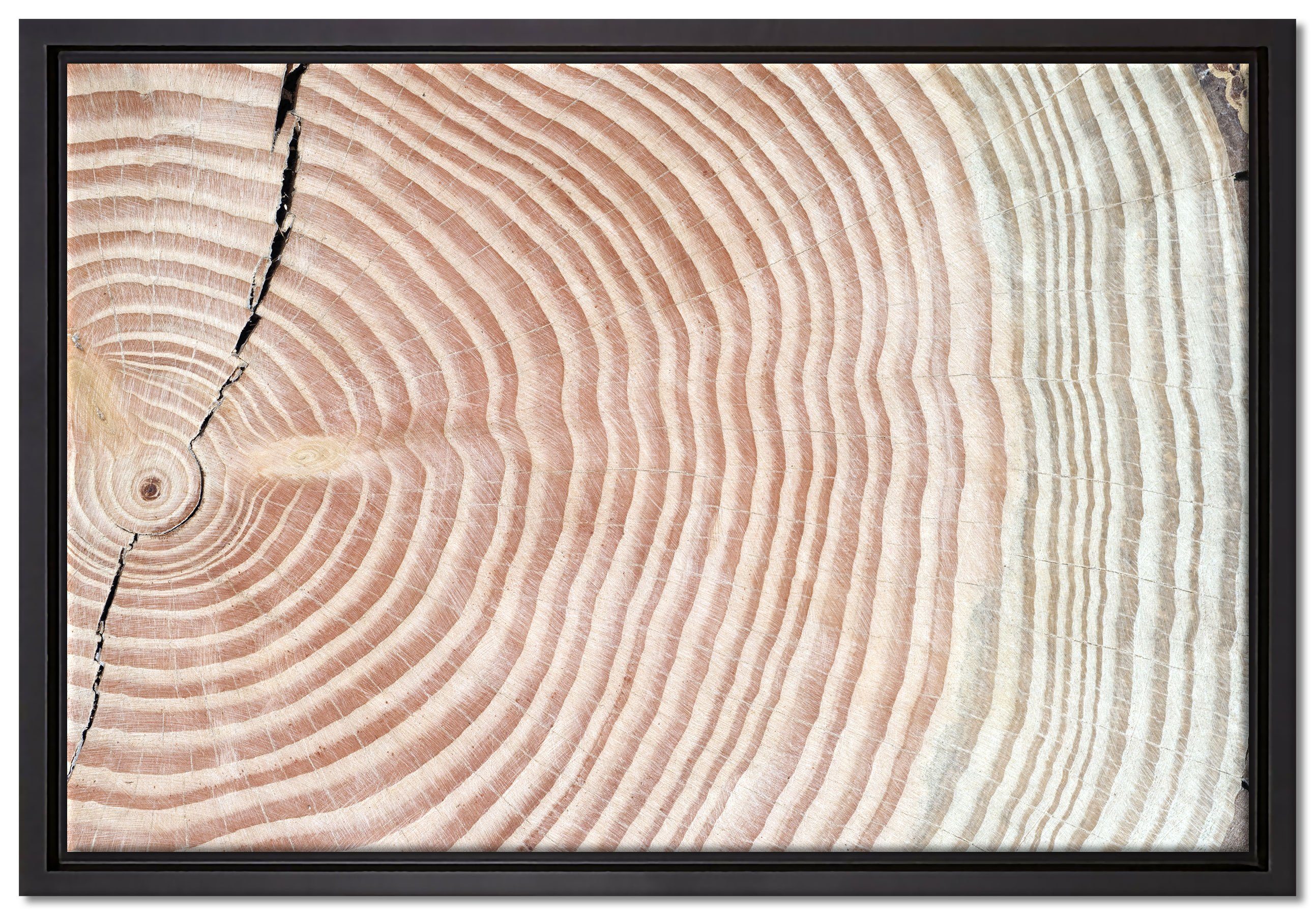 Pixxprint Leinwandbild Baumstamm Jahresringe, Wanddekoration (1 St), Leinwandbild fertig bespannt, in einem Schattenfugen-Bilderrahmen gefasst, inkl. Zackenaufhänger