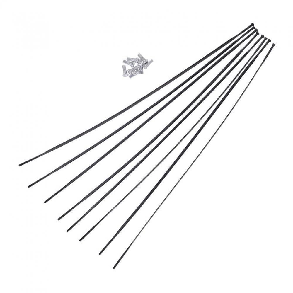 Laufrad DT Swiss Speichenkit für ERC1100 DICUT VR/HR 28" Schwarz - zuverlässig