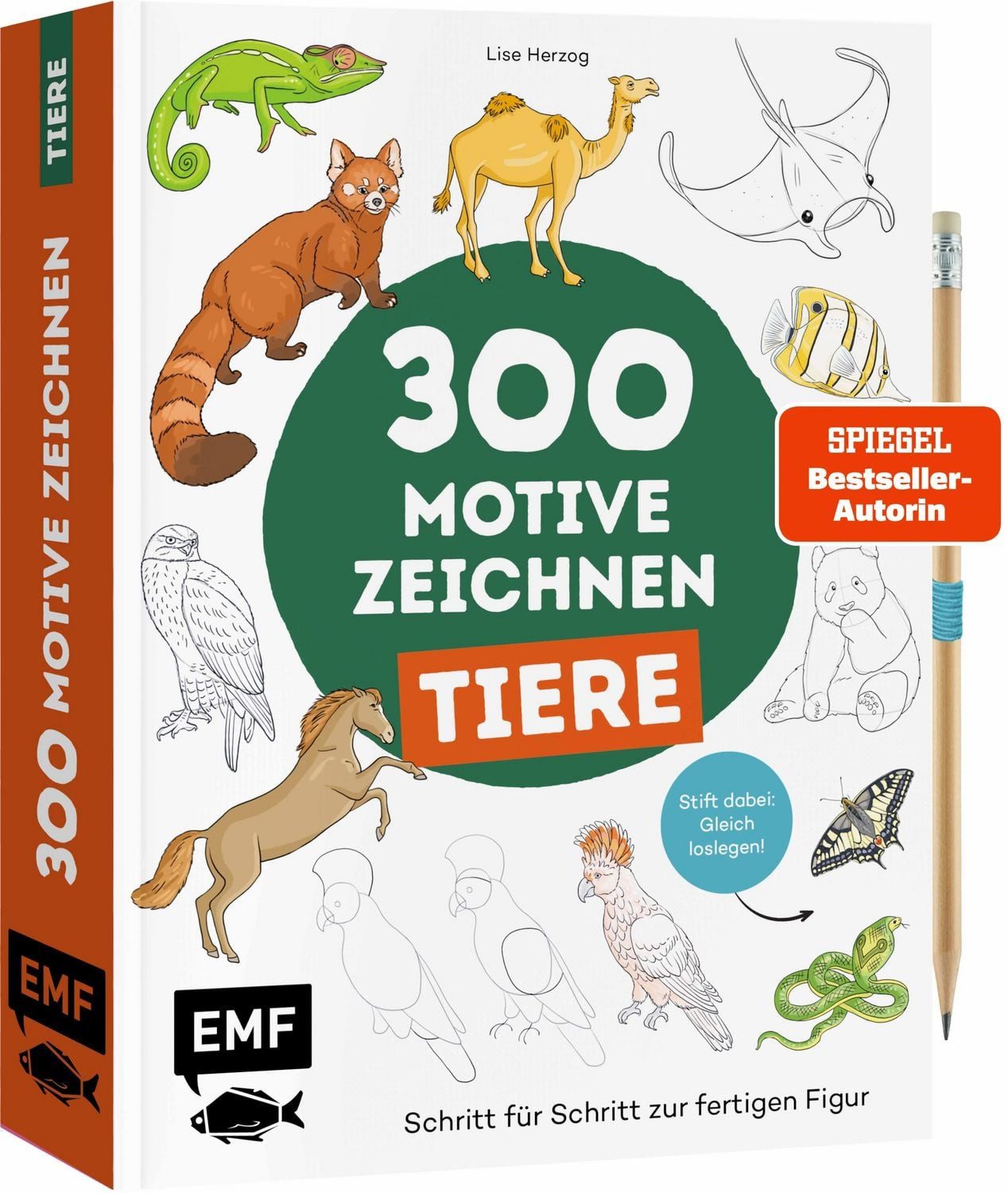 300 Motive zeichnen – Tiere / Lise Herzog