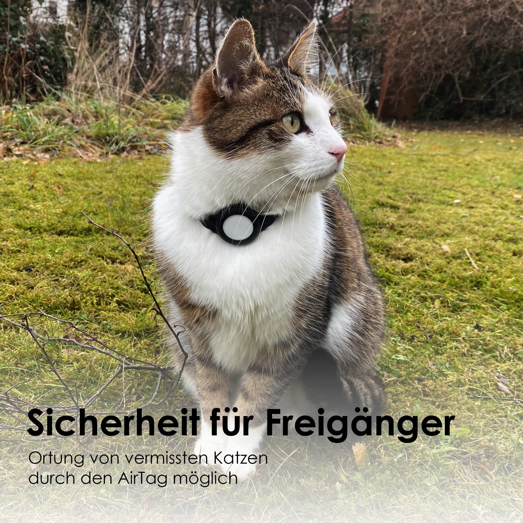 LucyBalu Katzen-Halsband NEMO für den AirTag als Katzentracker, Silikon, Sicherheitsverschluss
