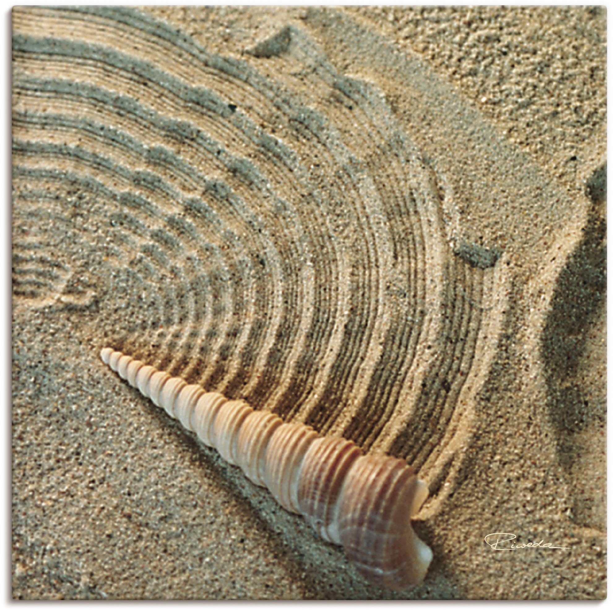 Poster Wandbild Wandaufkleber Muschel in (1 IV Zen Zen St), Größen Sand, Alubild, - als Artland oder versch. im Leinwandbild,