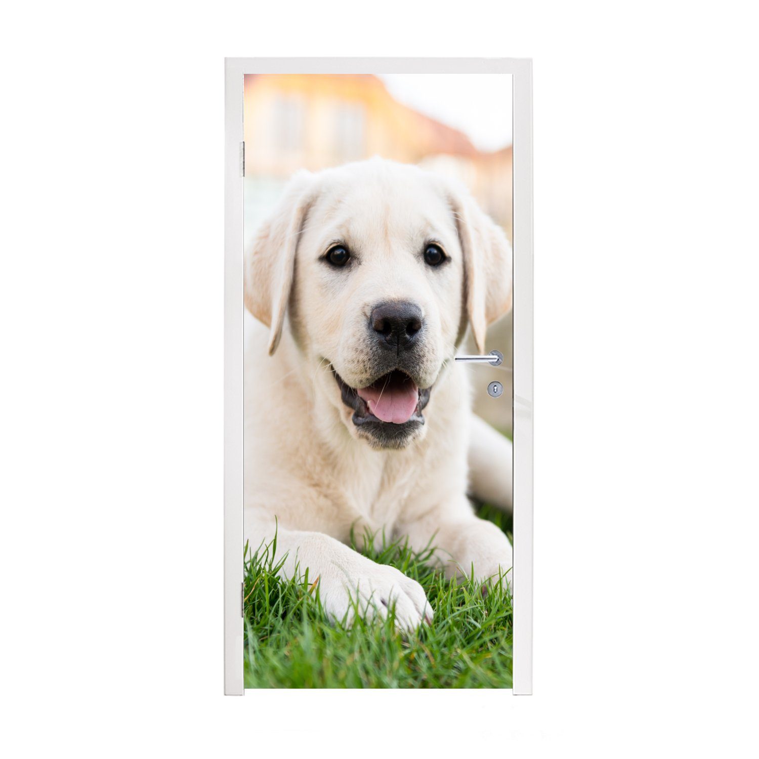 MuchoWow Türtapete Weißer Labrador Retriever im Gras liegend, Matt, bedruckt, (1 St), Fototapete für Tür, Türaufkleber, 75x205 cm | Türtapeten