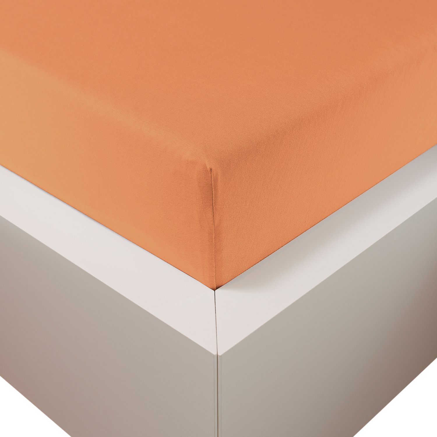 Traumschloss Spannbettlaken Premium Plus, Jersey, Gummizug: günstig online kaufen