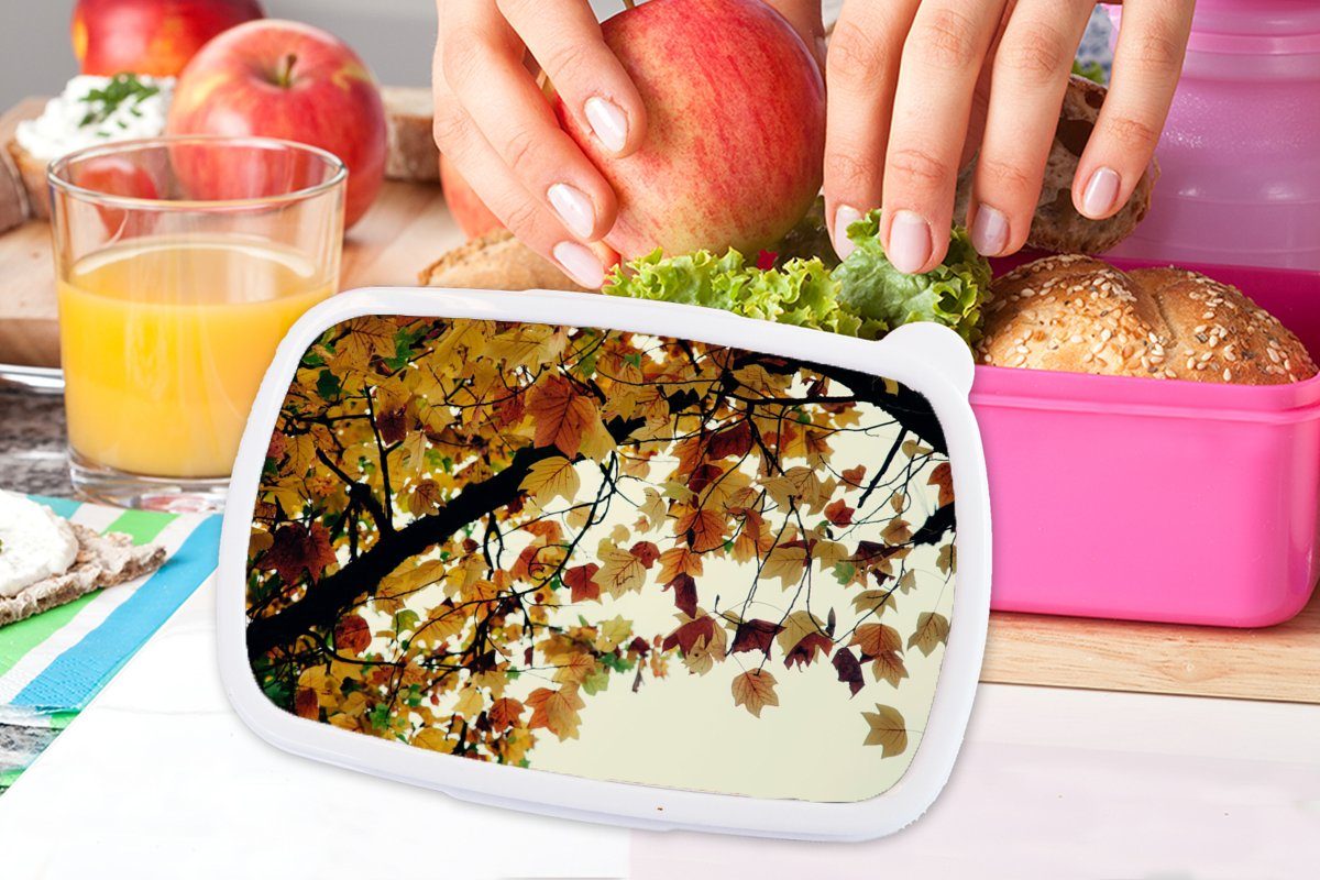 Kunststoff Kunststoff, Lunchbox - MuchoWow für Brotbox rosa Erwachsene, Natur, Kinder, Brotdose Herbstblätter Snackbox, Mädchen, Bäume - (2-tlg),