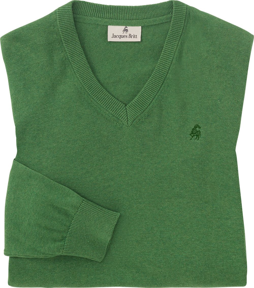 V-Ausschnitt-Pullover