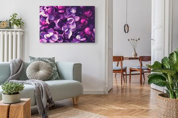 Sinus Art Leinwandbild 120x80cm Wandbild auf Leinwand Orchideen Blüten Blumen Lila Violett Ku, (1 St)