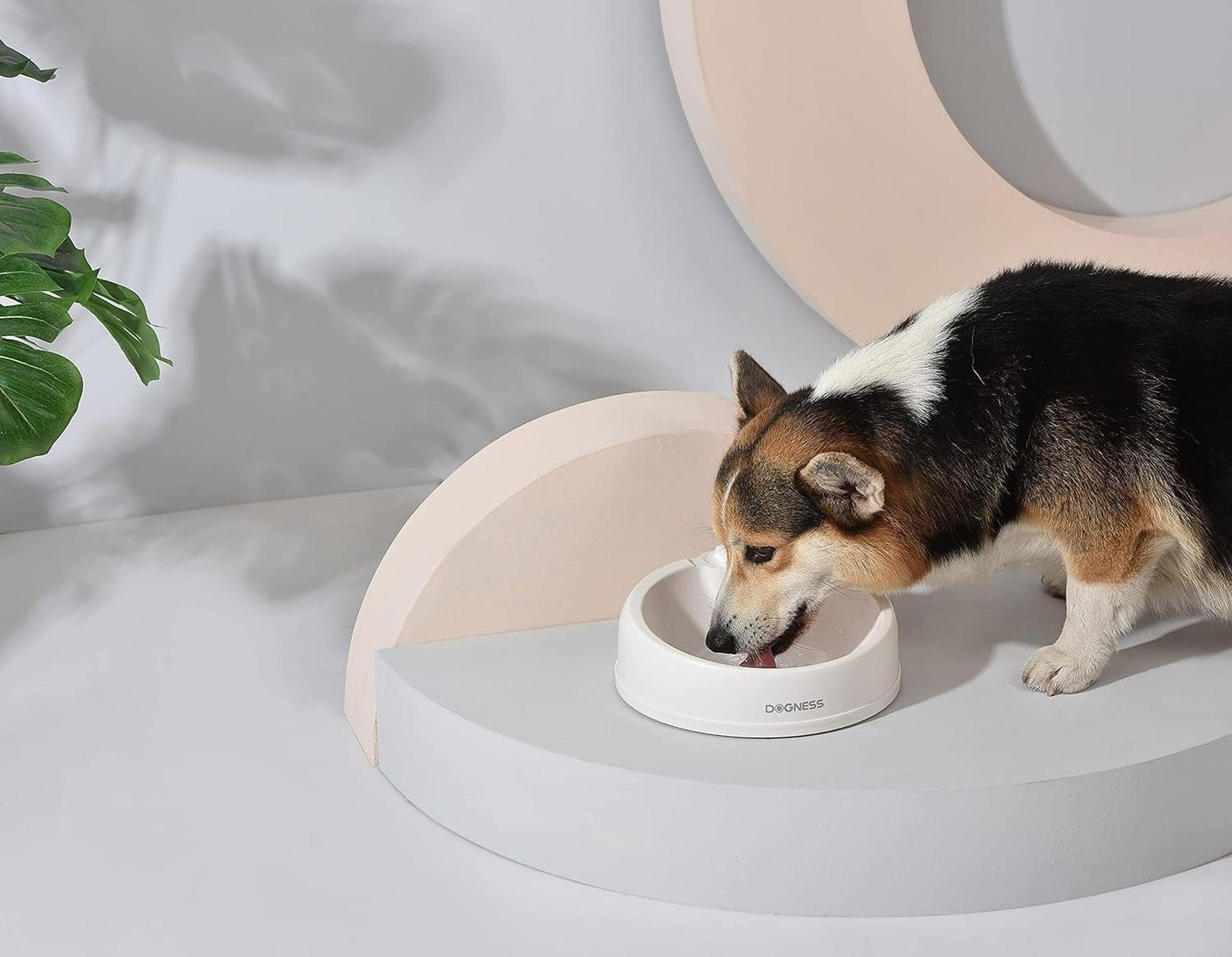 Dogness Futternapf Wassernapf 2in1 Fressnapf Reisenapf Katze/Hund Doppelfunktion, Tragbar, Doppelfunktion, Aktivkohlefilter, Gummikissen am Boden