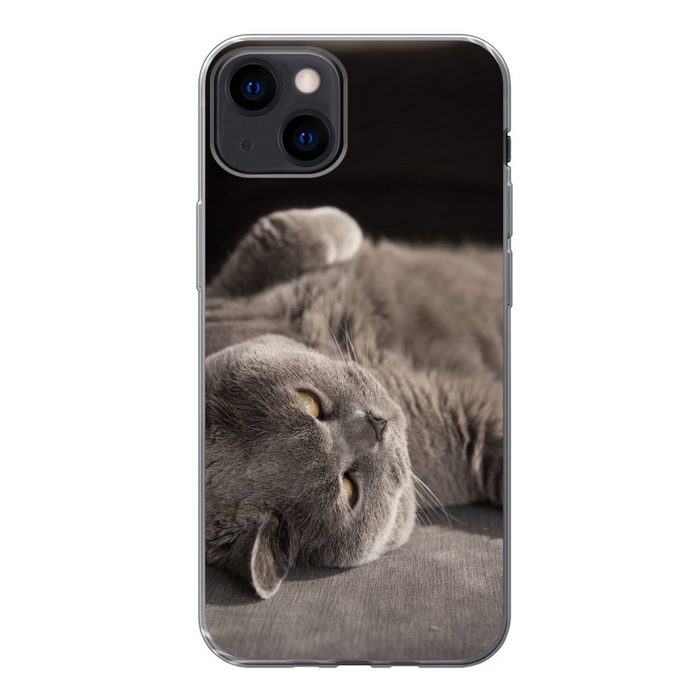 MuchoWow Handyhülle Tier - Katze - Grau Handyhülle Apple iPhone 13 Smartphone-Bumper Print Handy