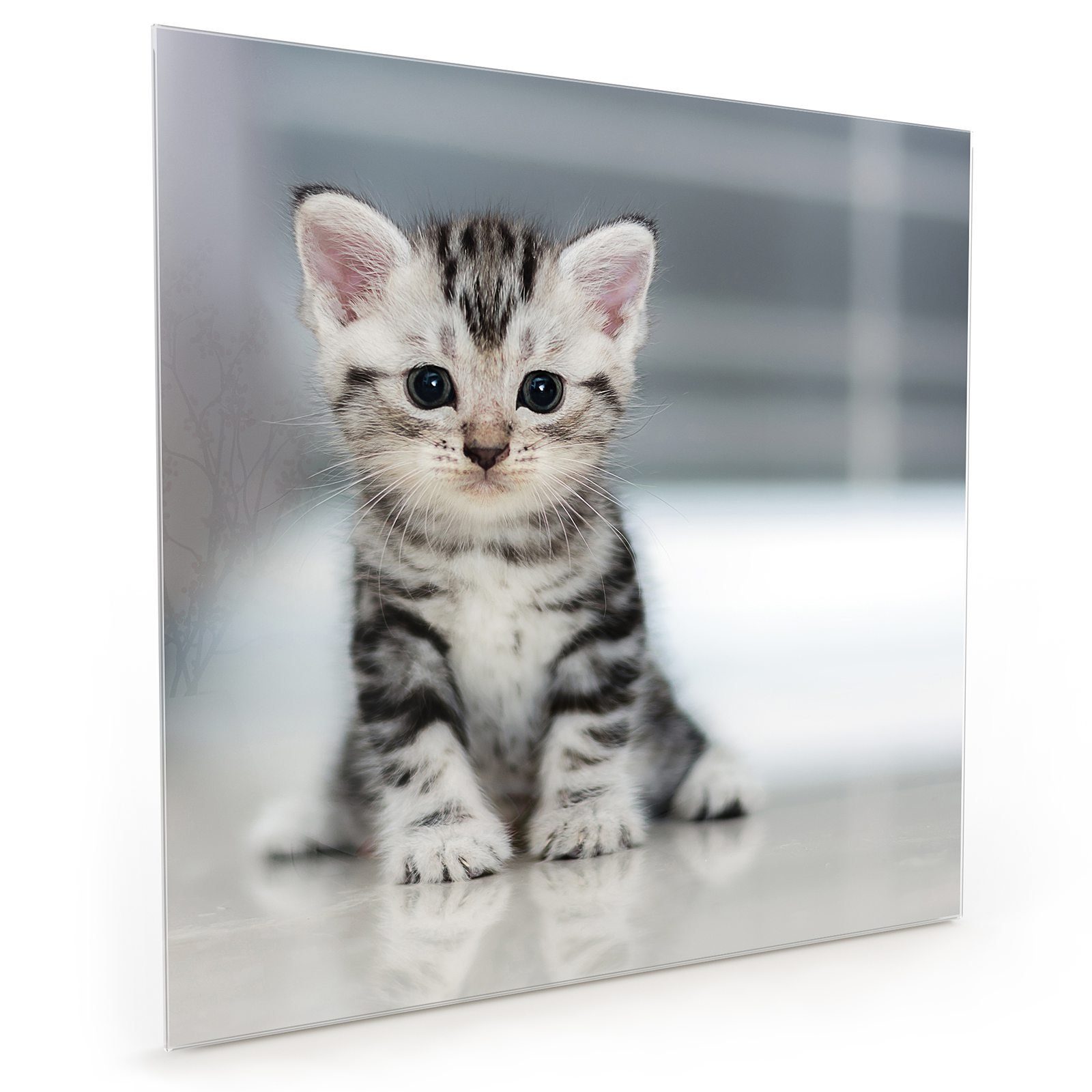 Primedeco Küchenrückwand Küchenrückwand Spritzschutz Glas mit Motiv Kleines Katzenbaby | Küchenrückwände
