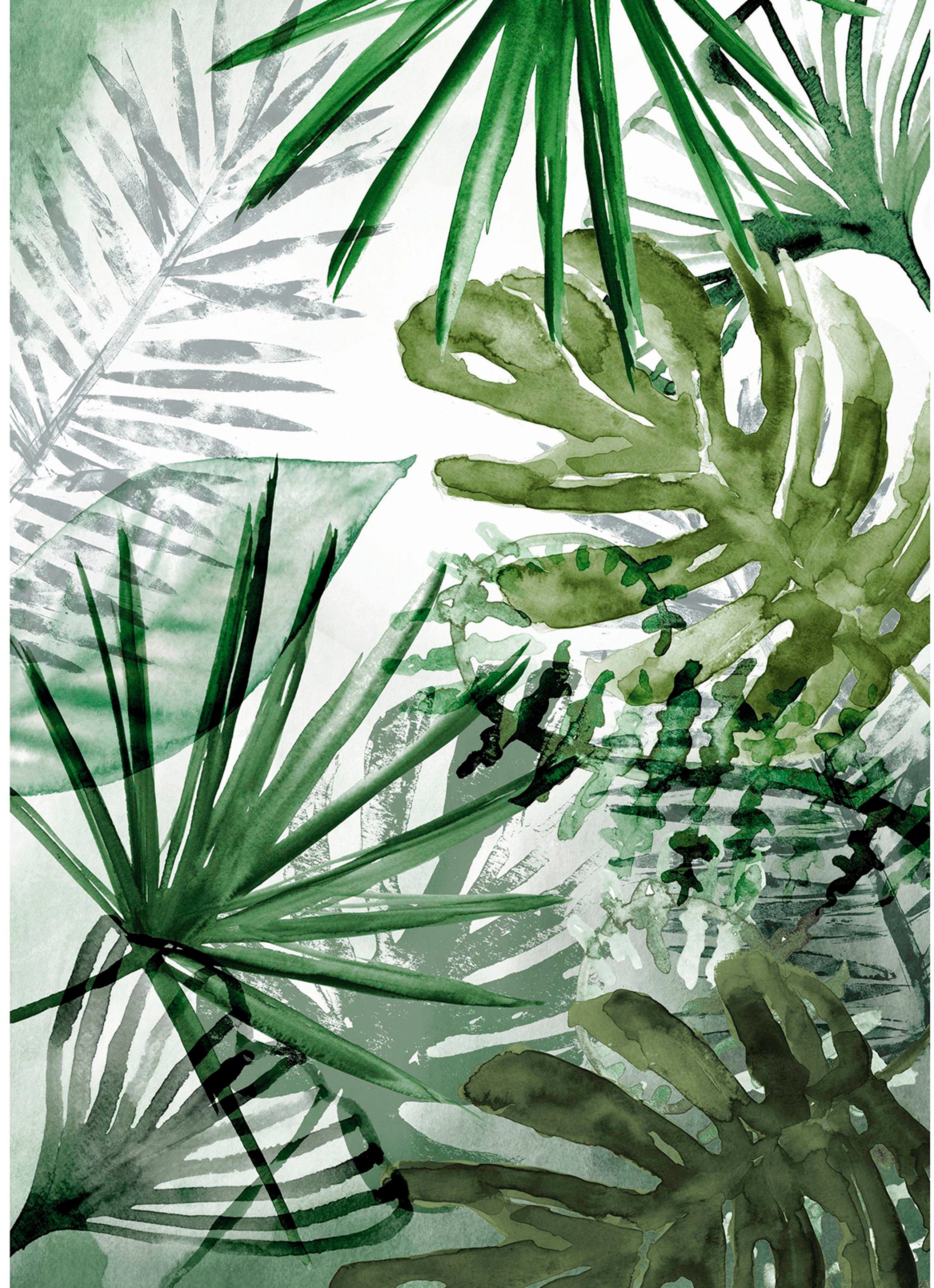 Art for the home Fototapete Palmenmix, glatt, floral, botanisch, Monstera Pflanzen 280x200 cm