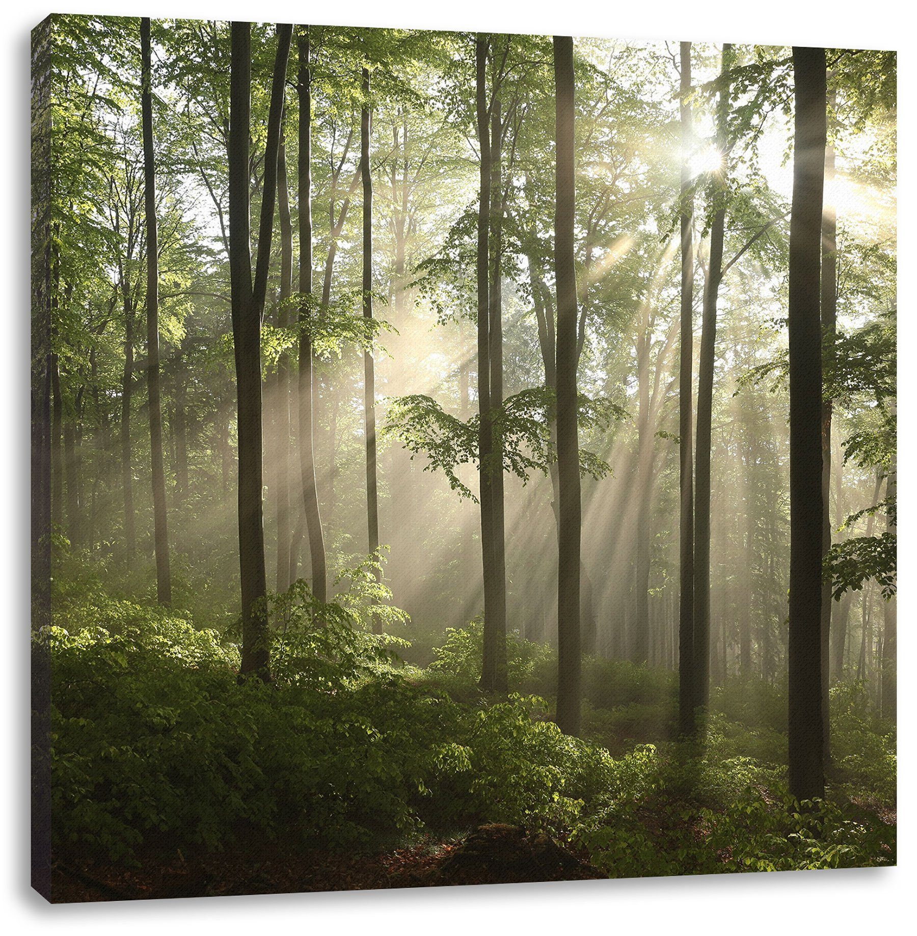 im Wald, Leinwandbild Sonnenstrahlen (1 Leinwandbild Zackenaufhänger Sonnenstrahlen Pixxprint bespannt, fertig St), im inkl. Wald
