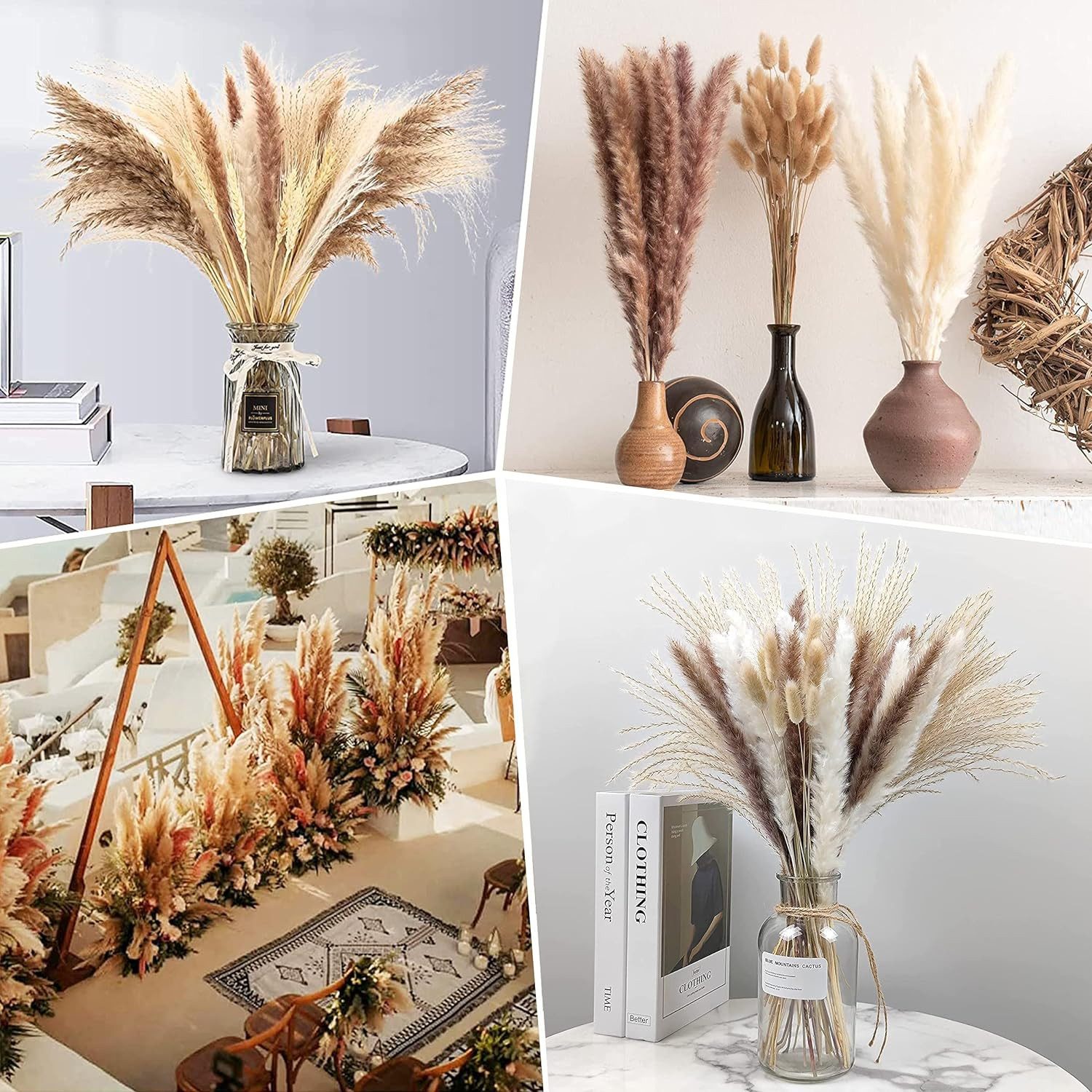 Trockenblume für Hochzeits-Boho-Blumen und Tischdekoration zu Hause, Coonoor