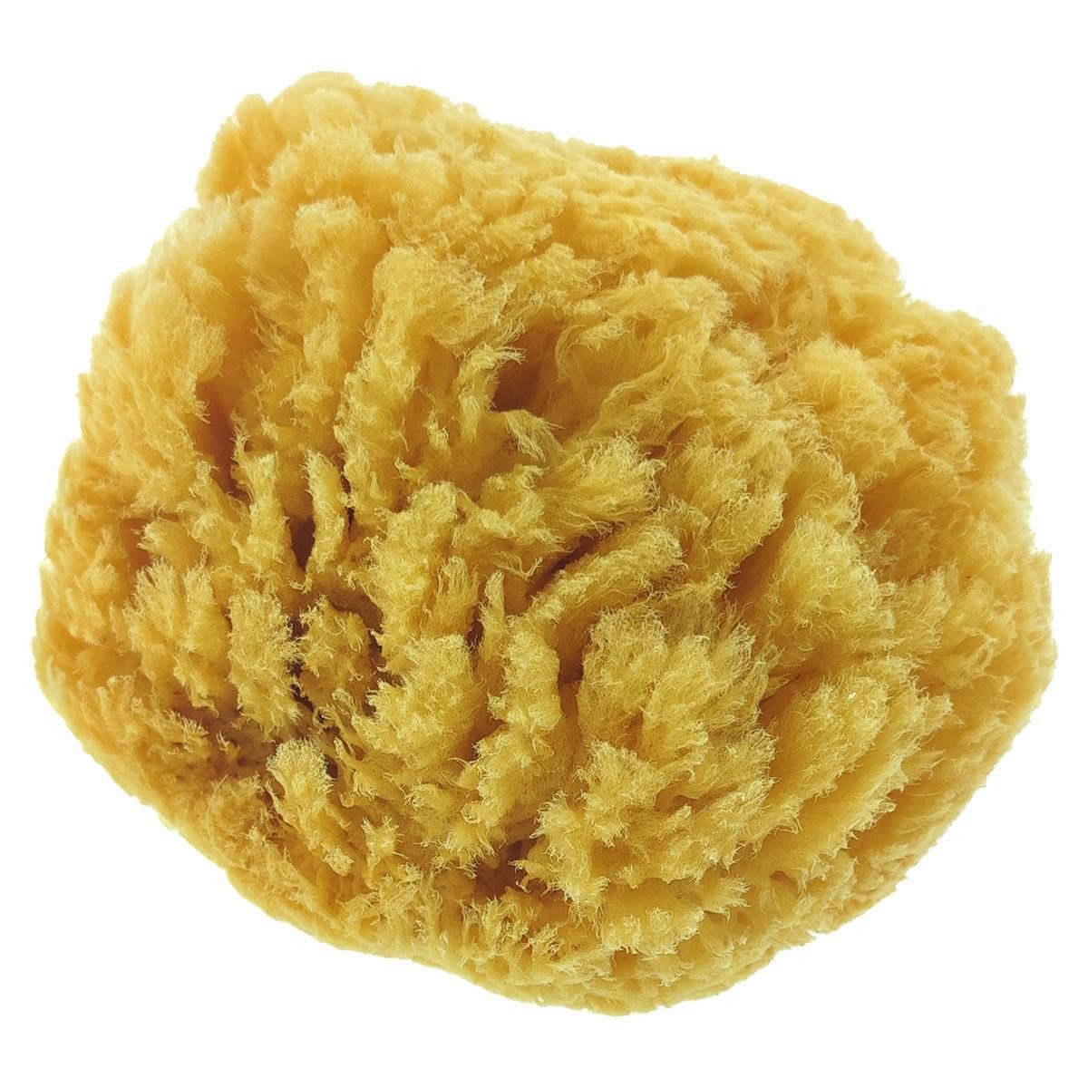 varivendo Reinigungsschwamm Naturschwamm Badeschwamm Hellbraun 1 Stück, Meeresschwamm Badeschwamm Duschschwamm