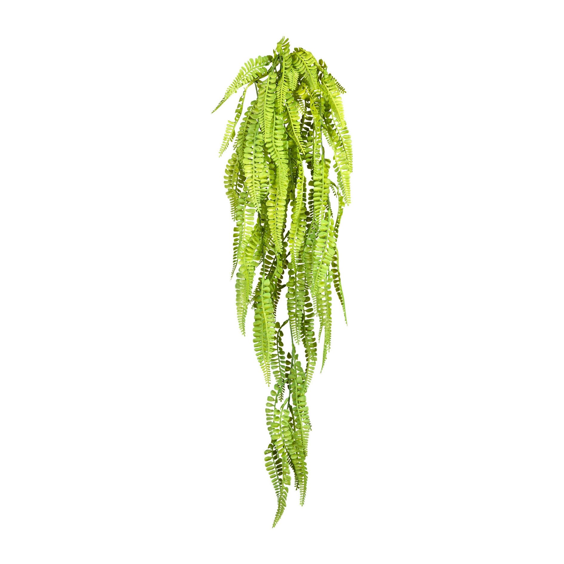 Kunstranke 2er Set Adianthumhänger ca 80cm, grün,Kunststoff 2er Set Kunstpflanze