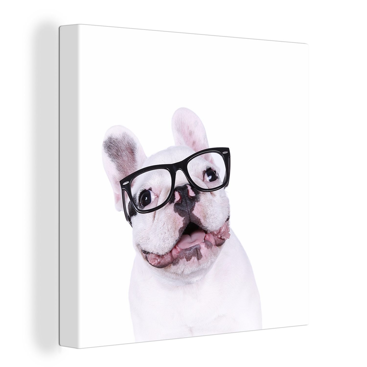 OneMillionCanvasses® Leinwandbild Hund - Brille - Hipster, (1 St), Leinwand Bilder für Wohnzimmer Schlafzimmer