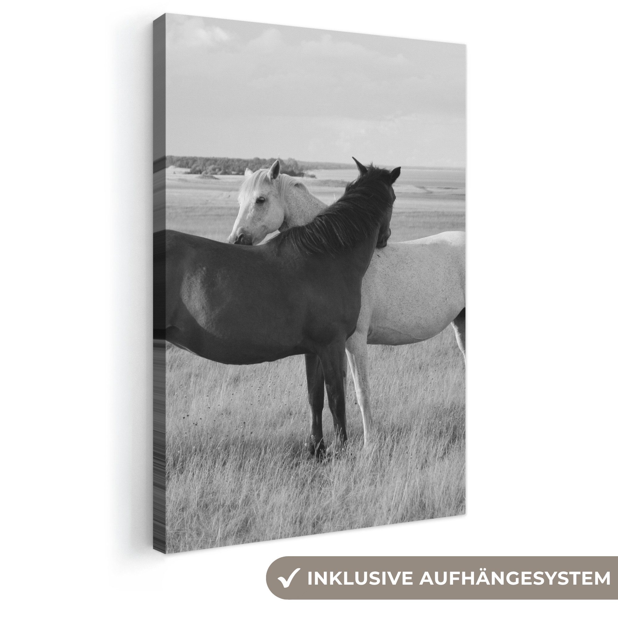 OneMillionCanvasses® Leinwandbild Pferde - Tiere - Porträt - Schwarz-Weiß - Landleben, Fotodruck (1 St), Leinwand Canvas Wandbild, Wanddekoration 20x30 cm