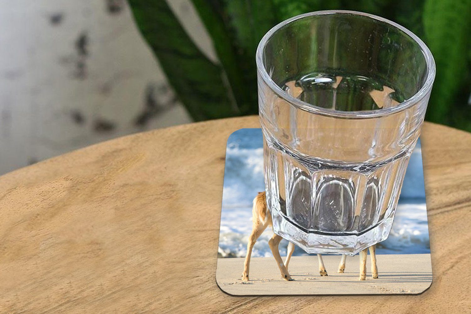 MuchoWow Glasuntersetzer Hirsche - Meer Gläser, Glasuntersetzer, Zubehör für Tasse Tischuntersetzer, 6-tlg., Wasser Untersetzer, - - Sand, Korkuntersetzer