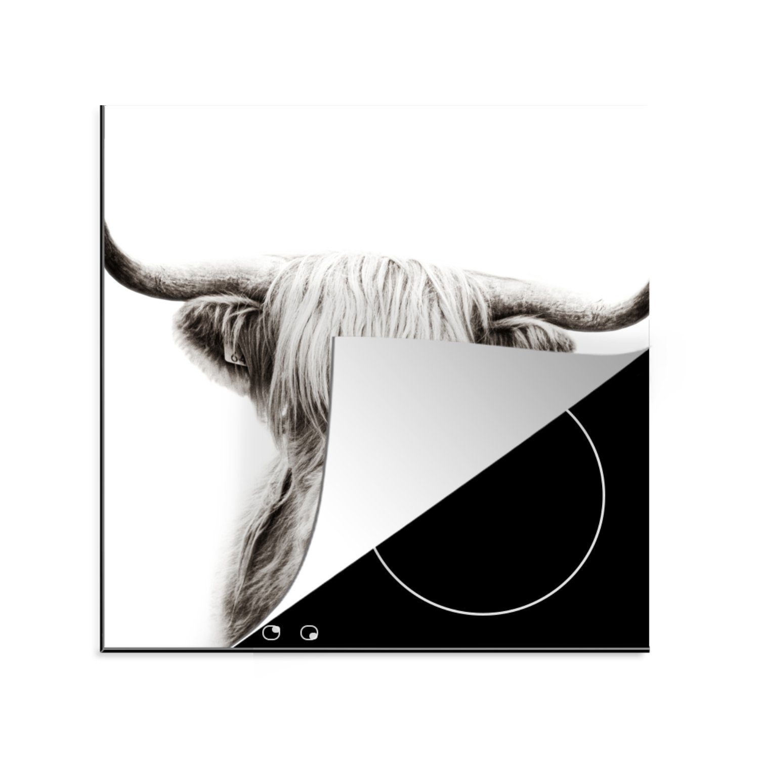 - MuchoWow - Highlander (1 Arbeitsplatte für Herdblende-/Abdeckplatte cm, Weiß 78x78 küche Ceranfeldabdeckung, tlg), Vinyl, Schottischer Kuh,