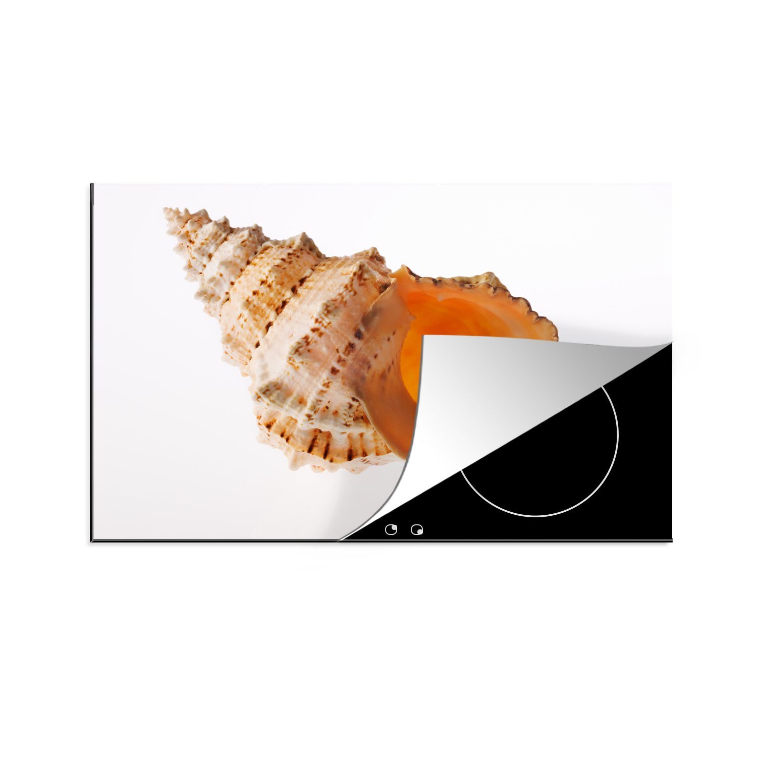 Meer für Induktionskochfeld die Muschel Schutz (1 Ceranfeldabdeckung MuchoWow - Vinyl, küche, 81x52 cm, Herdblende-/Abdeckplatte - Strand, tlg),