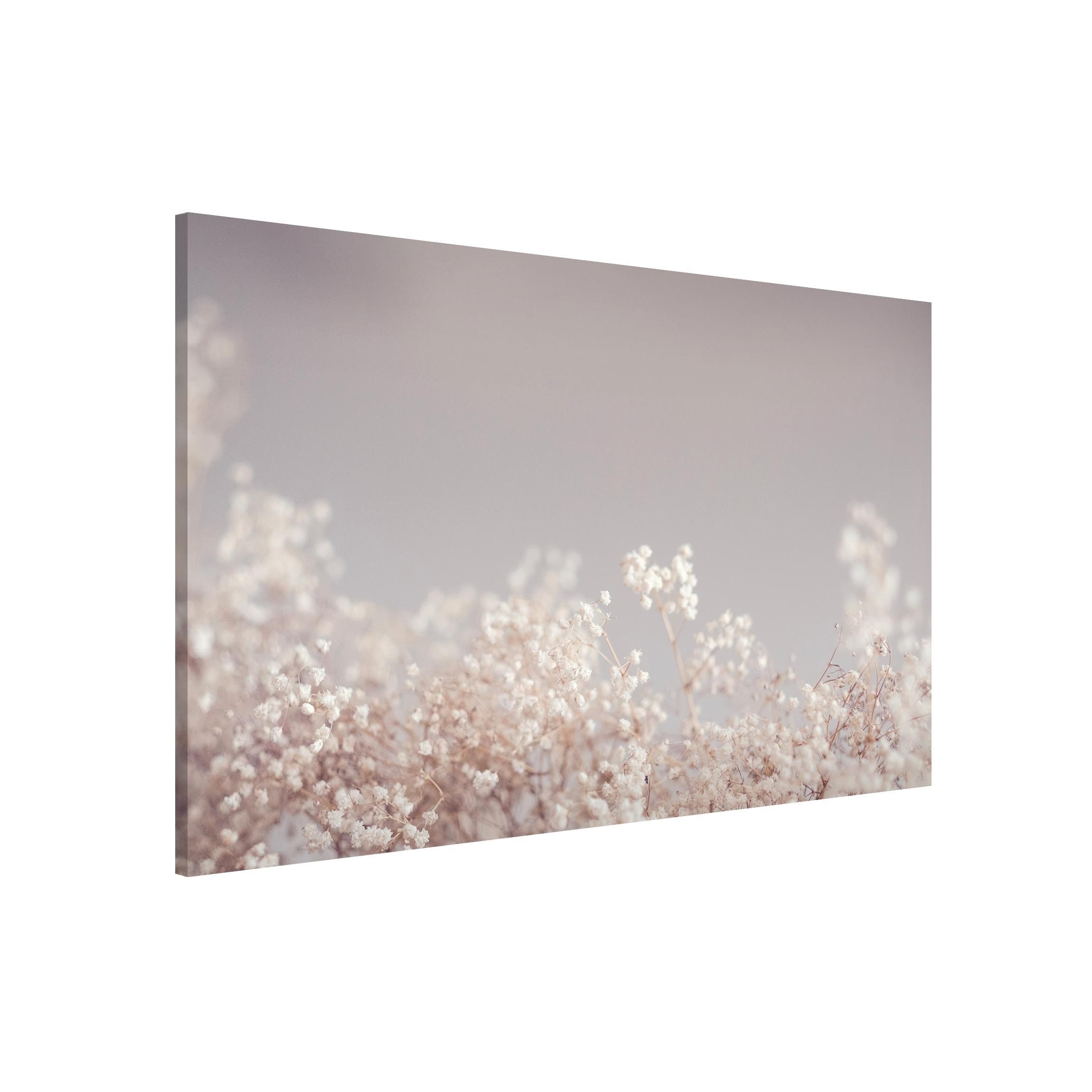 Bilderdepot24 Magnettafel Küche beige Sanfter Blütentraum, günstig online kaufen