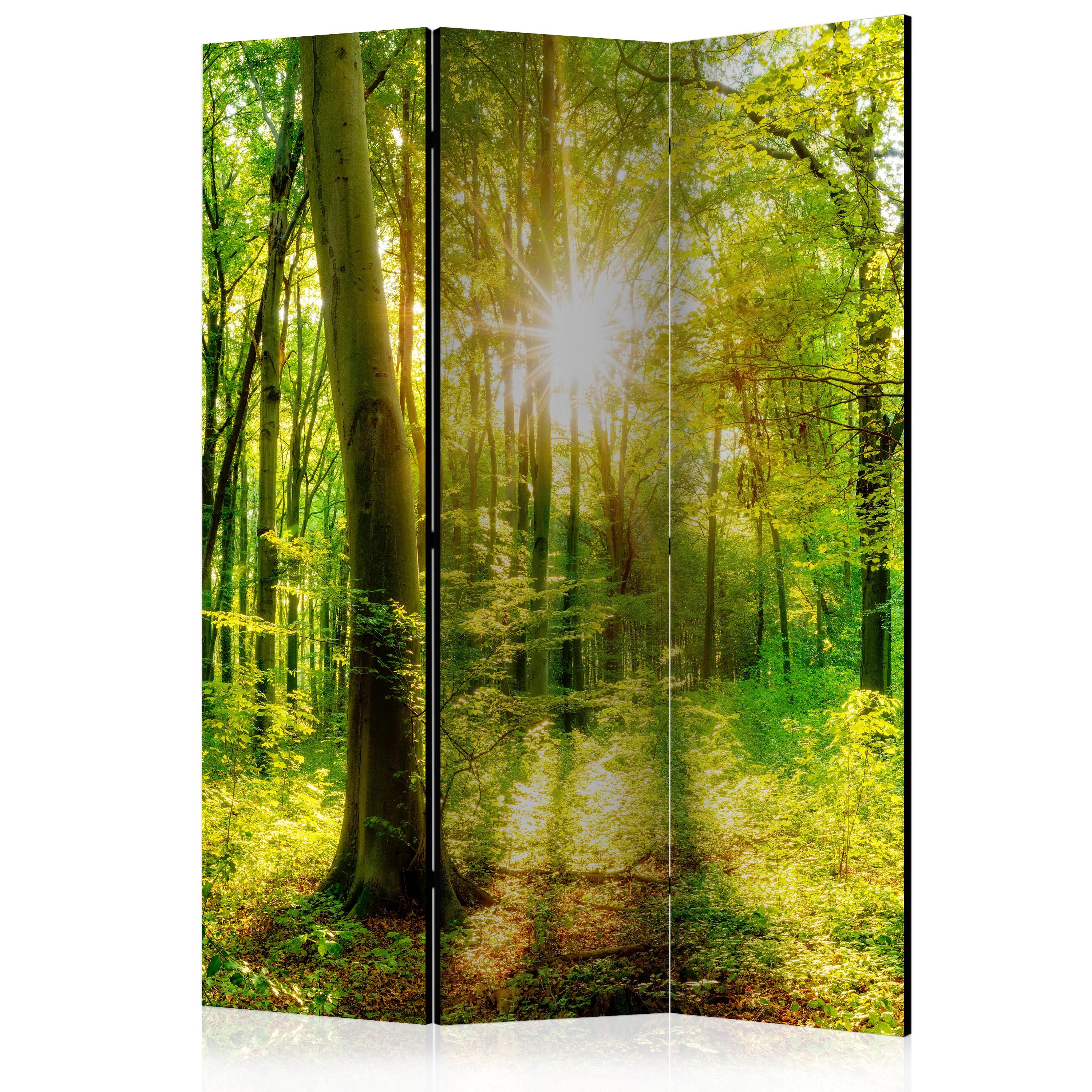 Muralo Paravent 3-teiliger klappbarer Raumteiler – Sonnenstrahlen im Wald (Packung, 1 St., 135x172 cm), 3 Varianten, für das Schlafzimmer, das Wohnzimmer