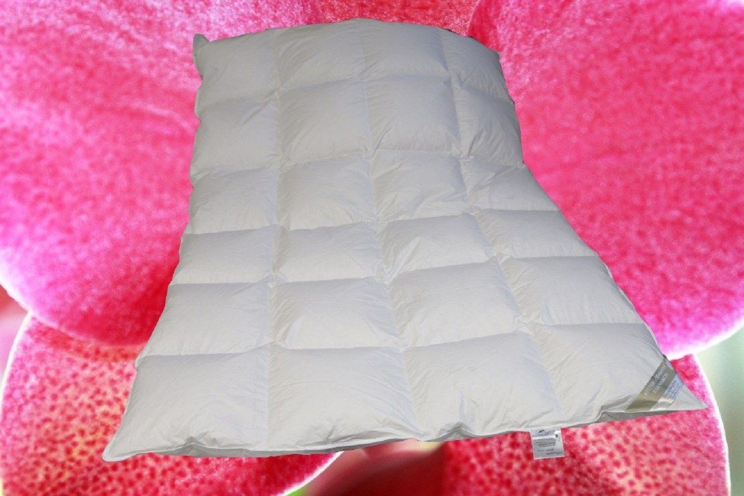 Betten Hofmann 4-Jahreszeitenbett Luxus Ganzjahres Daunenbett günstig online kaufen