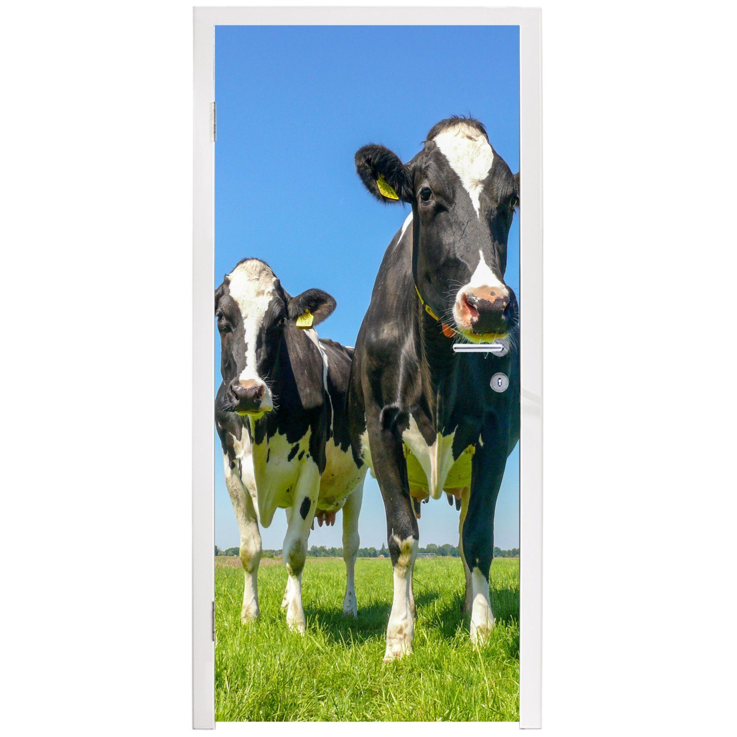 Weide Kühe 75x205 für Tiere Tür, - cm Türaufkleber, MuchoWow St), Türtapete Fototapete - bedruckt, (1 - Bauernhof, Matt,