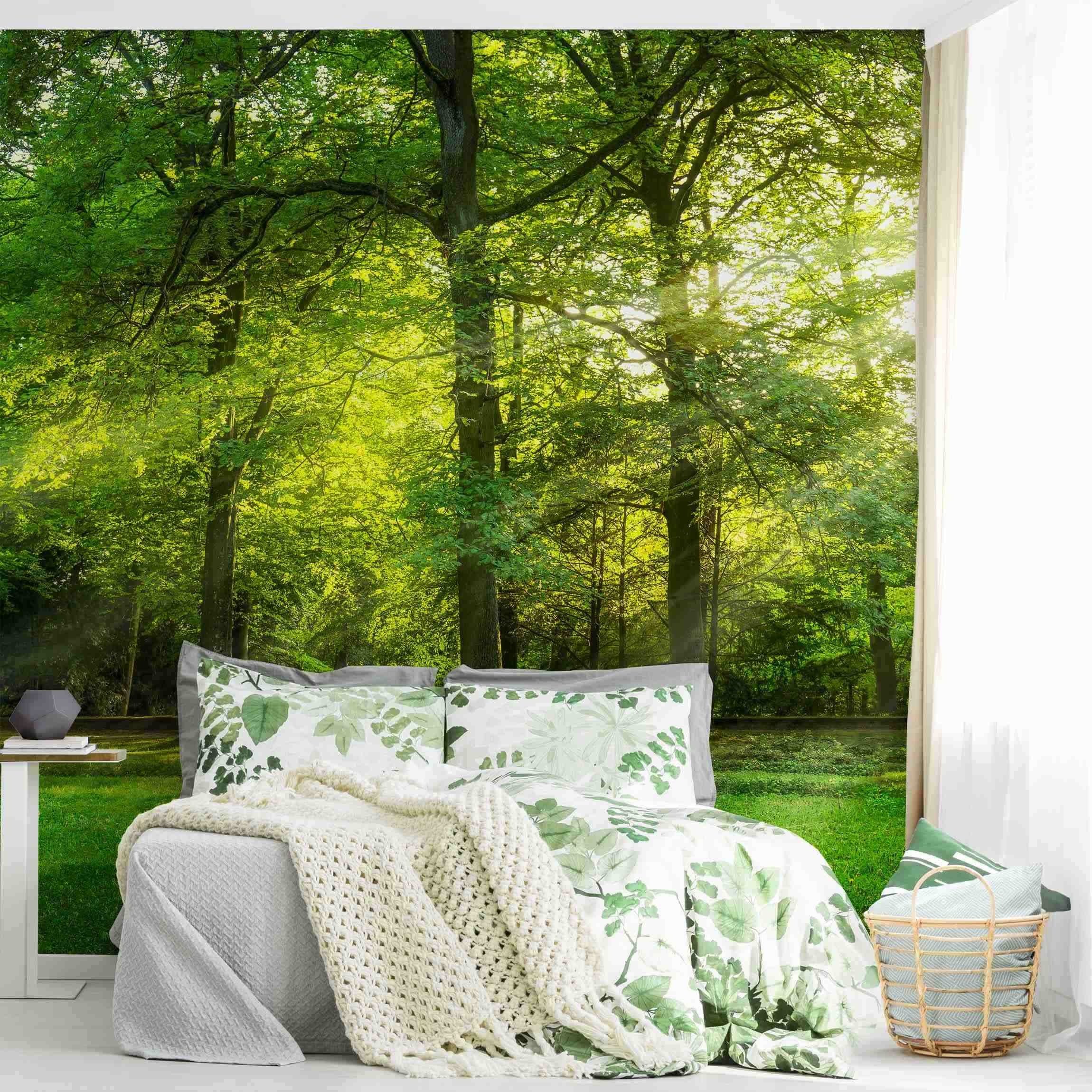 Bilderdepot24 Fototapete Wald Spaziergang Wald Natur Landschaft Waldtapete Bäume, Glatt, Matt, (Vliestapete inkl. Kleister oder selbstklebend), Wohnzimmer Schlafzimmer Küche Flur Motivtapete Vliestapete Wandtapete