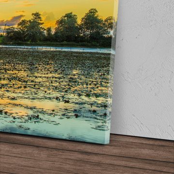 Sinus Art Leinwandbild 120x80cm Wandbild auf Leinwand Pantanal Nationalpark Brasilien Abendro, (1 St)