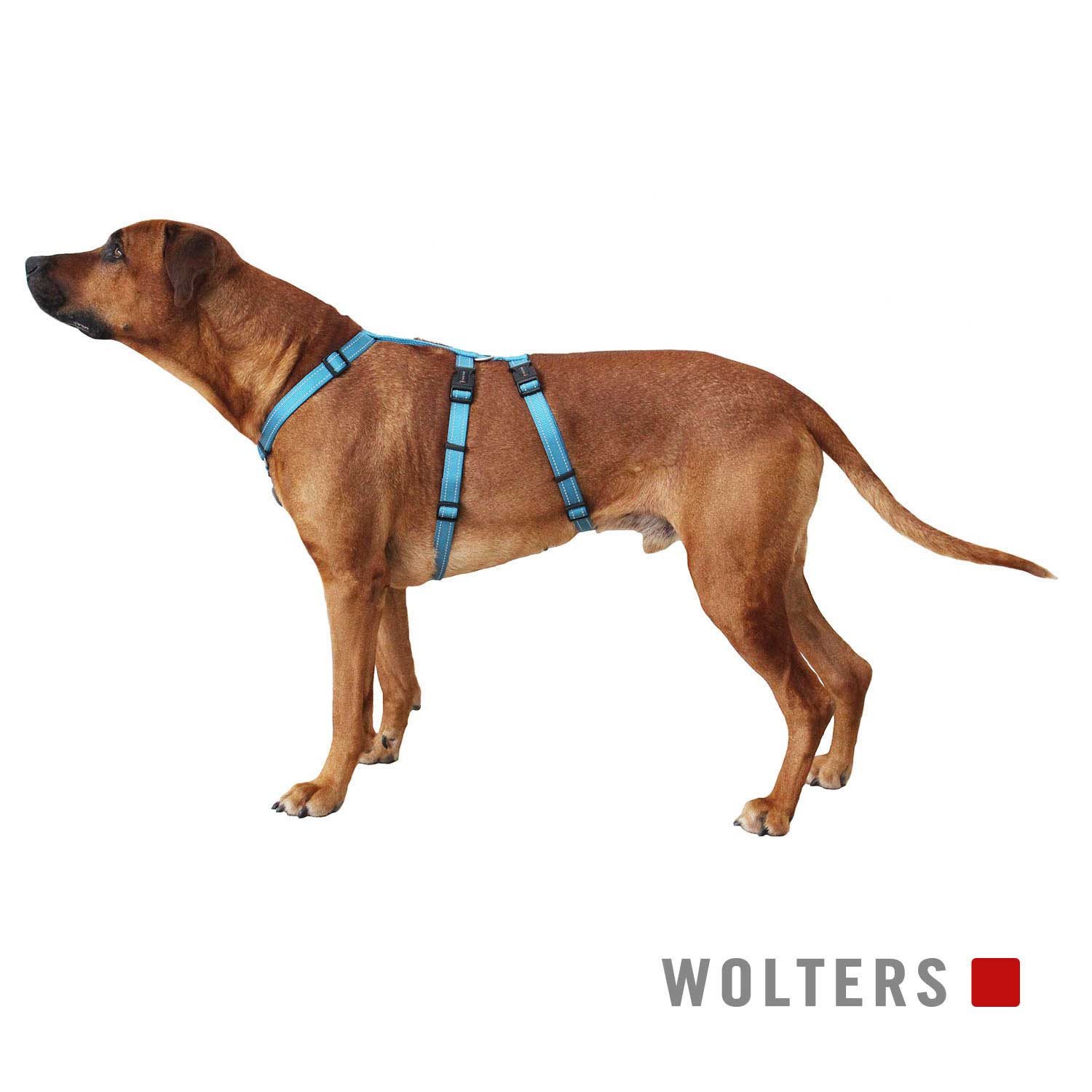 Wolters Hunde-Sicherheitsgeschirr Geschirr Soft & Safe günstig online kaufen