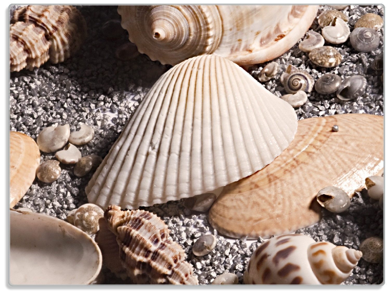 Schneidebrett Muscheln am Strand