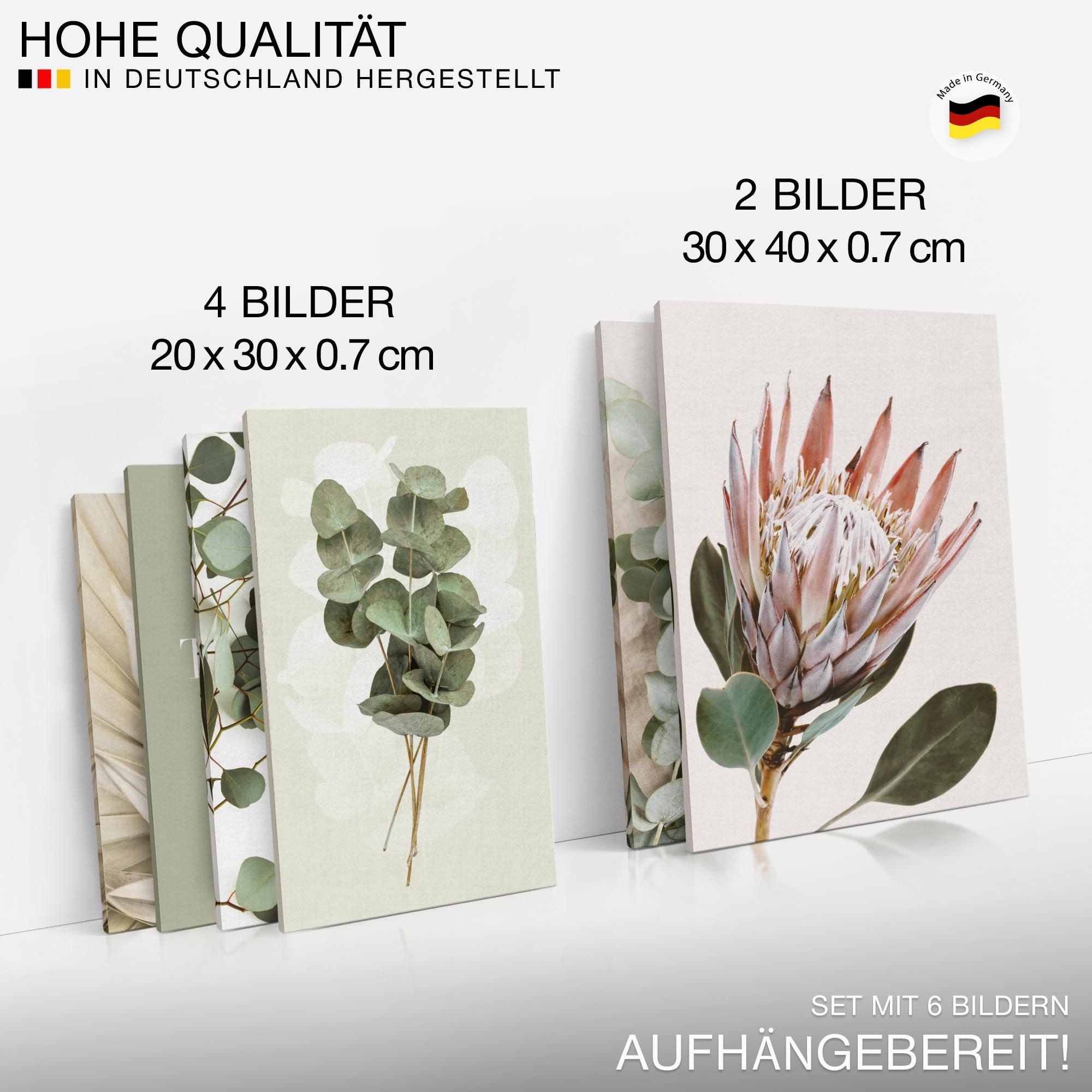 Novart Wandbild Natur Landschaft Beige KEIN EXTRA RAHMEN BENÖTIGT Modern Deko Bilder, Blätter