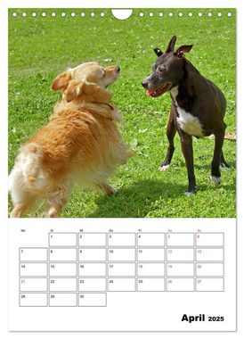 CALVENDO Wandkalender Hunde Freunde (Wandkalender 2025 DIN A4 hoch), CALVENDO Monatskalender