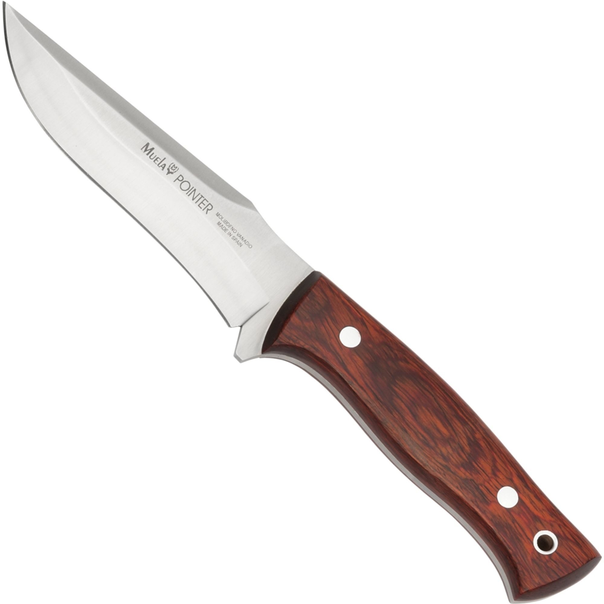 Muela Taschenmesser Muela Pointer Sandelholz