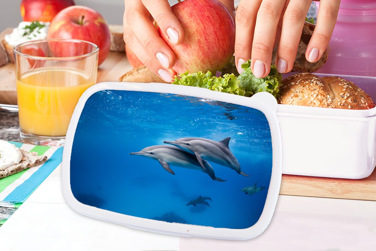 Brotbox Erwachsene, und Lunchbox - Kinder - Delfin Meer weiß Kunststoff, für (2-tlg), MuchoWow für und Jungs Mädchen Brotdose, Ägypten,